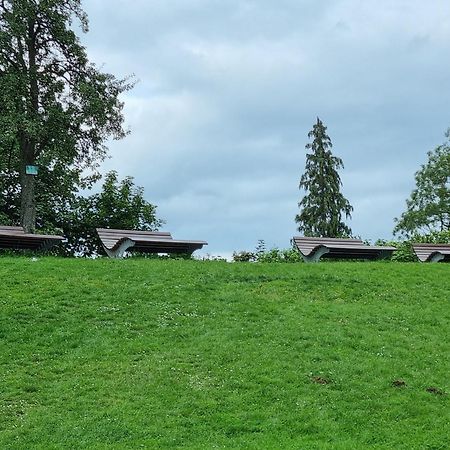Fewo Zur Alten Tischlerei Herzberg am Harz Exteriér fotografie