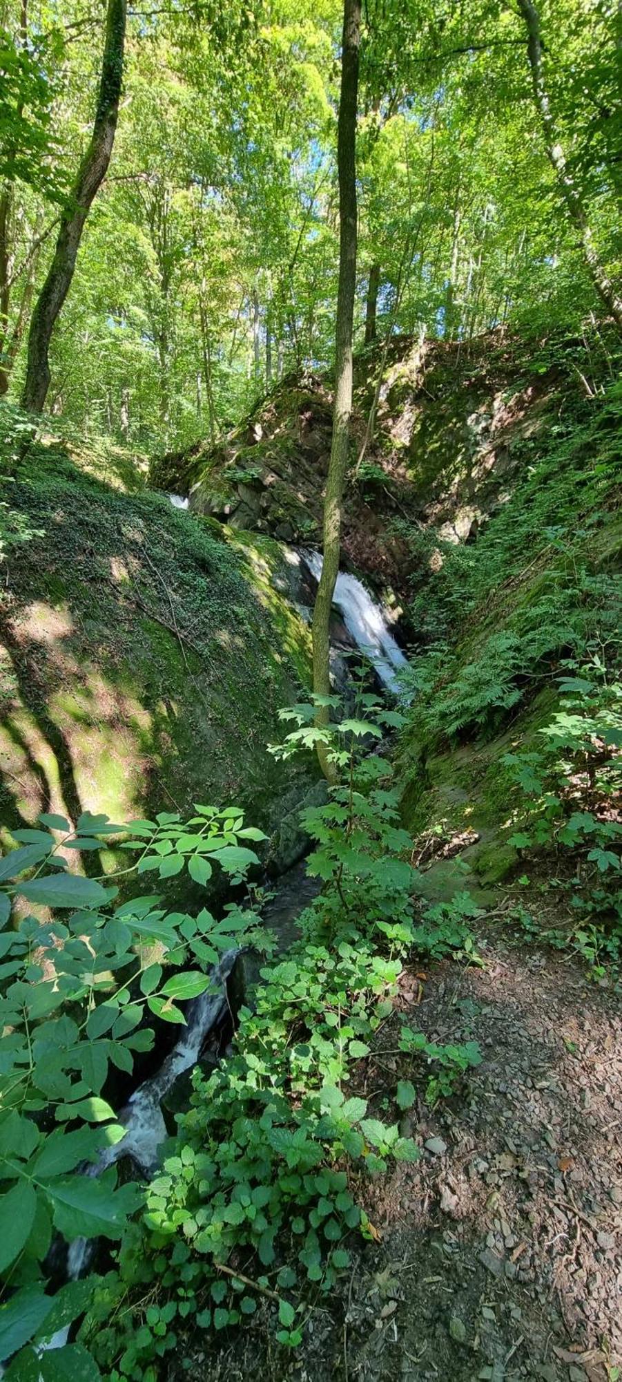 Fewo Zur Alten Tischlerei Herzberg am Harz Exteriér fotografie