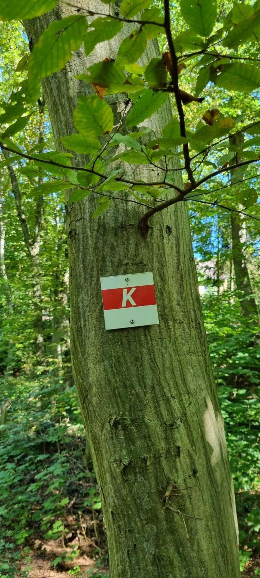 Fewo Zur Alten Tischlerei Herzberg am Harz Exteriér fotografie